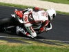 aa-pannonia saturday qual STK600_230